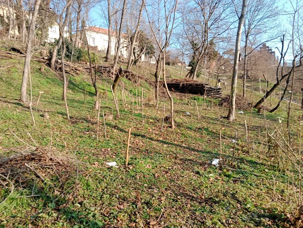 IMG 20260120 110716