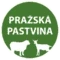 Pražská pastvina